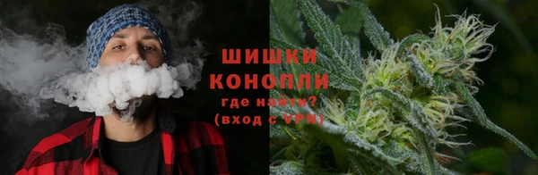 мдма Новодвинск