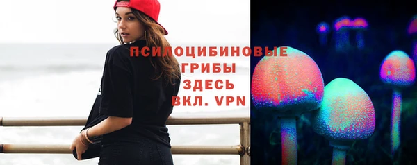 прущая мука Новозыбков