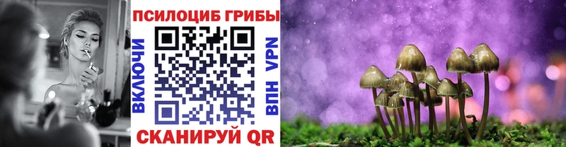Купить  Приморск  Галлюциногенные грибы Magic Shrooms 